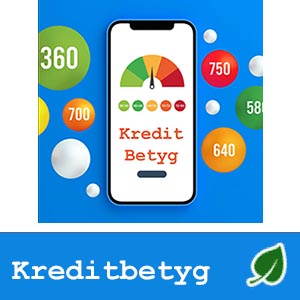 Vad är ett kreditbetyg (score)?