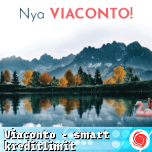 Viaconto - smart kreditlimit