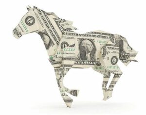 Låna pengar för att köpa häst?