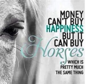 Lån för att köpa häst
